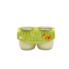 YAOURT FRUIT EXOTIQUE