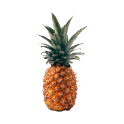 ANANAS LAMELLE