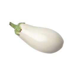 AUBERGINE RONDE
