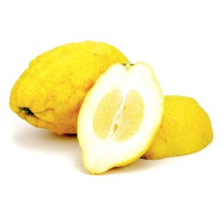 CITRON CÉDRA