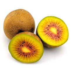 KIWI JAUNE X2