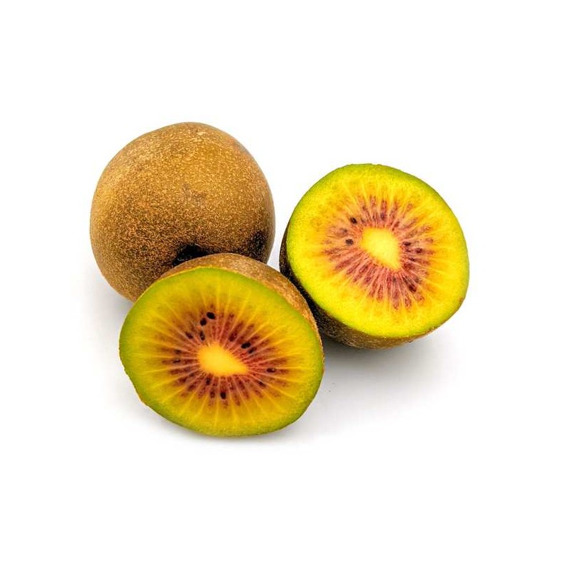 KIWI JAUNE X2