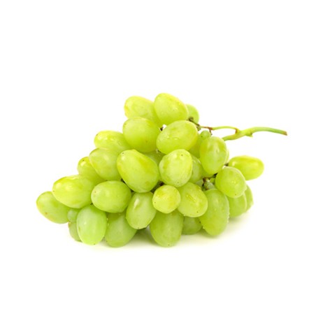 RAISIN ITALIA