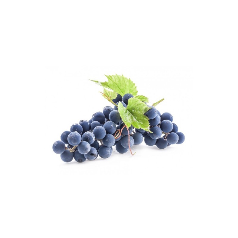 RAISIN TOUTES LES COULEURS