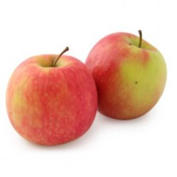 POMME CRIPPS PINK