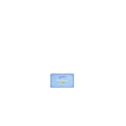 SARDINE À L'HUILE