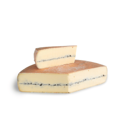 MORBIER 100J