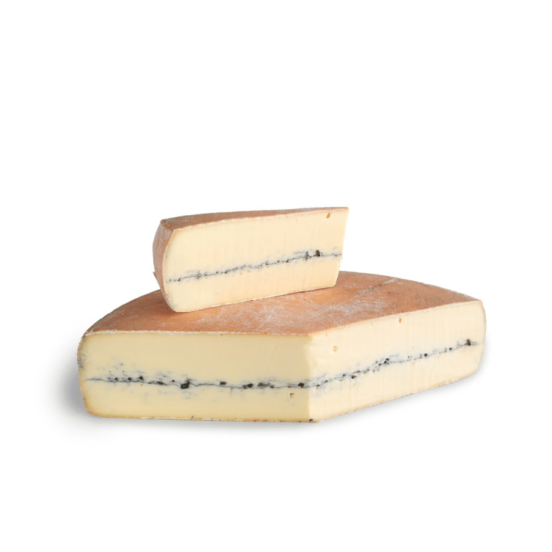 MORBIER 100J