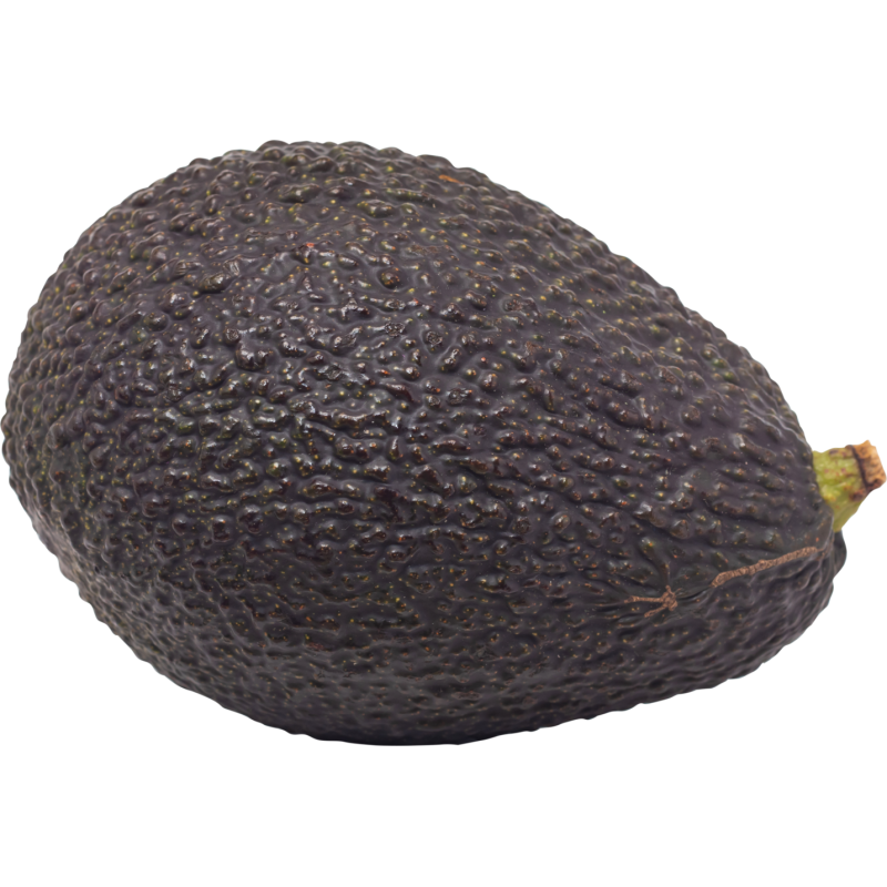 AVOCAT X1