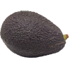 AVOCAT X1
