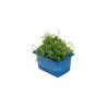 CRESS AFFILA