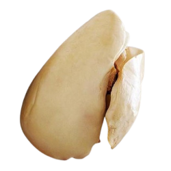 FOIE GRAS EVEINE