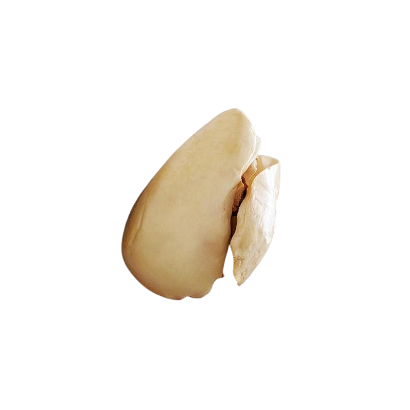 FOIE GRAS EVEINE