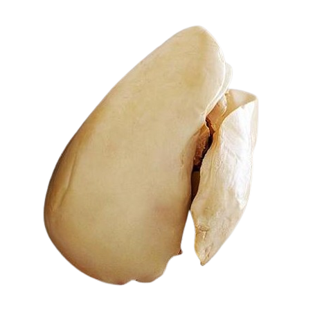 FOIE GRAS EVEINE