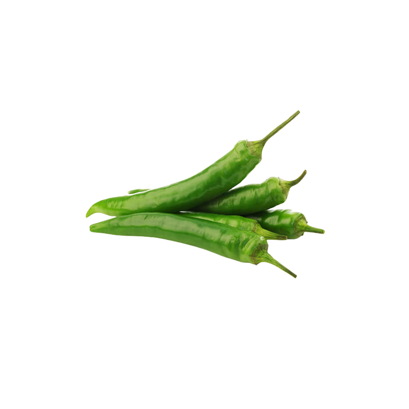 PIMENT PADRONE
