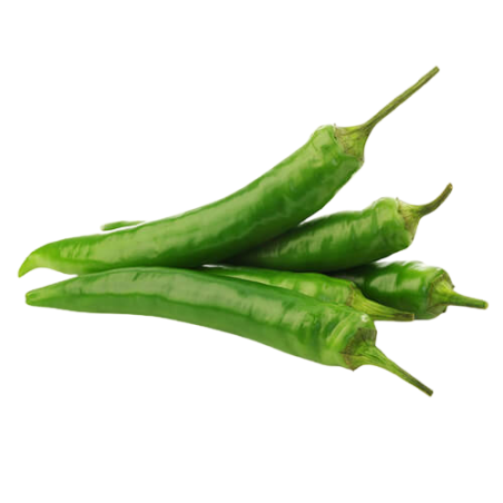 PIMENT PADRONE