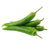 PIMENT PADRONE