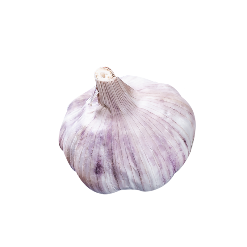 AIL VIOLET SEC