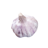 AIL VIOLET SEC
