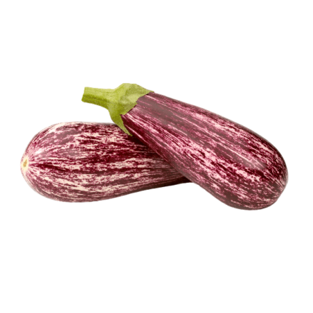 AUBERGINE GRAFFITI