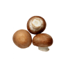 CHAMPIGNON DE PARIS
