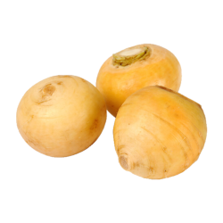 NAVET BOULE D'OR