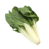 BLETTE PIED