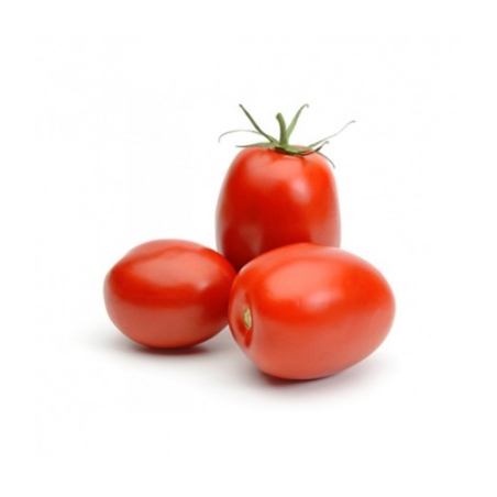 TOMATE ALLONGEE SAN MARZANNO