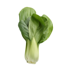 CHOUX PAKCHOI