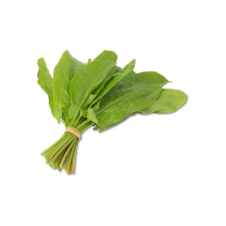 oseille botte