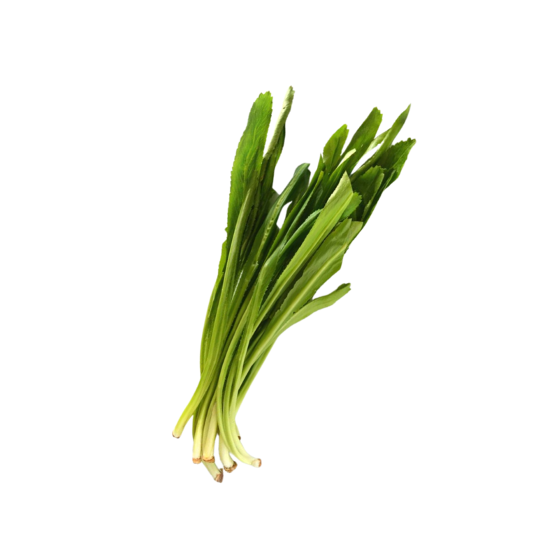 coriandre thai botte